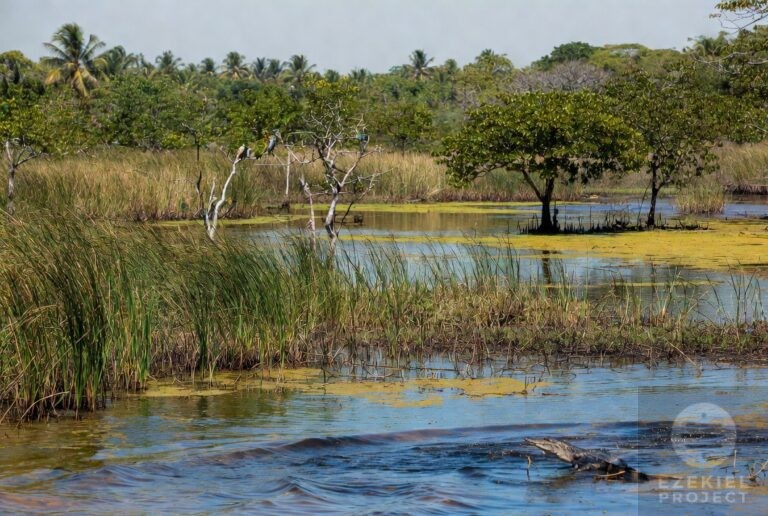 afterdisclosure Guarapiranga Reservoir Incident